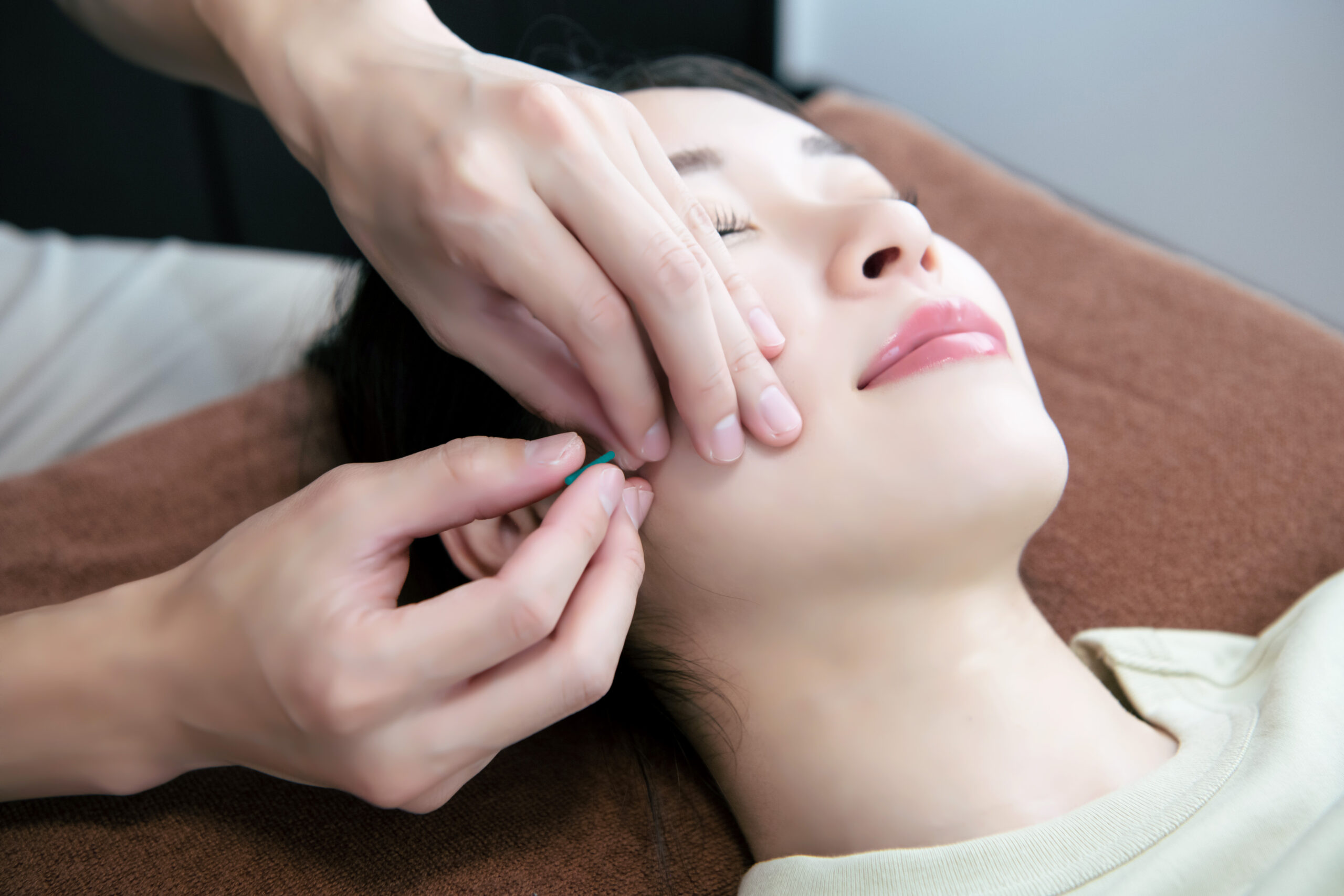 Somatic Cranial Work 頭蓋矯正法　セミナーテキスト整体　鍼灸 Somatic Cranial Work 頭蓋矯正法 セミナーテキスト整体 鍼灸